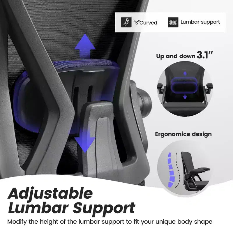 Ergonomic Office Chair, Mesh Computer Desk Chair with Adjustable Back Lumbar Support and Armrests, Black